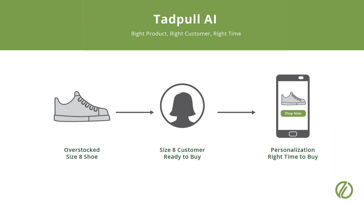 ​A diagram shows how the Tadpull AI works.