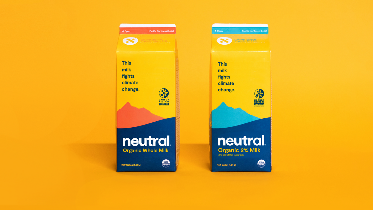 neutral milk cartons